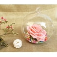 thumbnail image 2 of Glass Terrarium Decorative Glass Hanging Planter Glass Hanging Vase for Home, 2 of 7