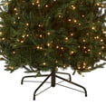 thumbnail image 3 of Árbol de Navidad, abeto Tiffany de National Tree Company, 9 pies con luces, 3 of 6
