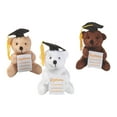 thumbnail image 2 of Graduation Diploma Pocket Bears - Party Favors - 12 Pieces, 2 of 3