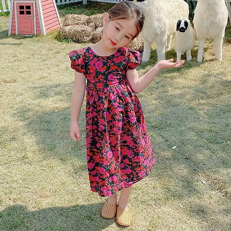 

Toddler Girls Casual Dresses Autumn Winter Floral Print Ruffle Trim Round Neck Puff Sleeve Flared A Line Floral Dress Activewear