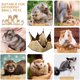 thumbnail image 4 of Hamaca para animales pequeños brillar cama colgante de 2 capas amarillo 20*20 cm, 4 of 5