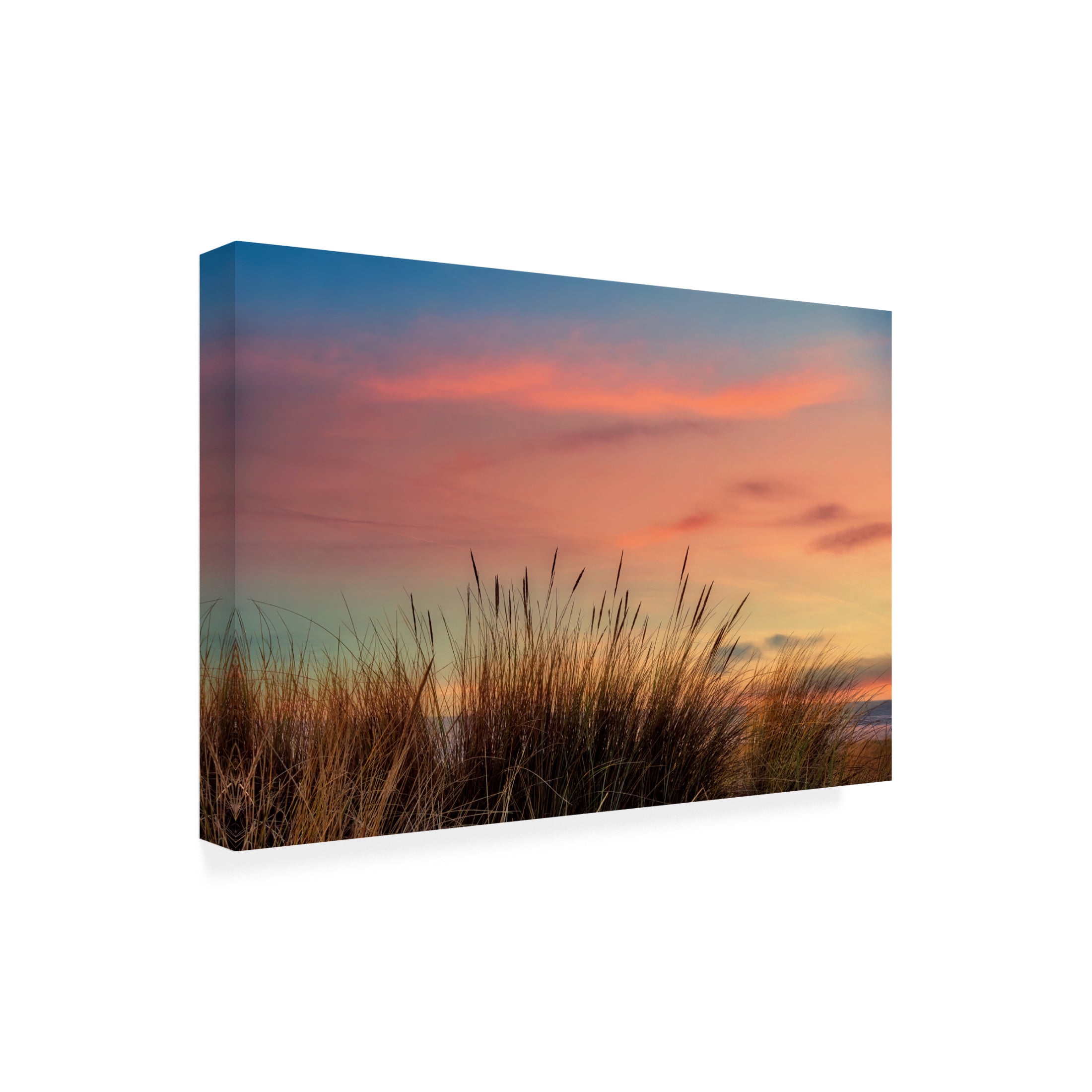 Canvas Wall Art - Cora Niele 'Grasses with Sun Set' Wall Art for Living Room, Bedroom, or Office Décor by Trademark Fine Art - 47 x 30 Inches