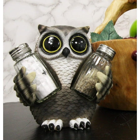 Ebros Gift Whimsical Owlet Baby Owl With Big Round Eyes Glass Salt And Pepper Shakers Holder Display Figurine Set 6