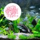 thumbnail image 3 of 50pcs Aquarium Stones Glow In The Dark Stones Aquarium Ocean Theme Gravel, 3 of 4