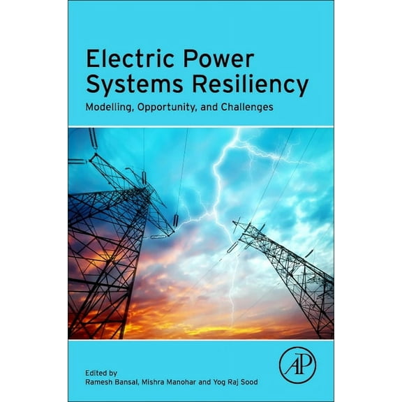 Electric Power Systems Resiliency: Modelling, Opportunity and Challenges, (Paperback)
