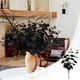 thumbnail image 5 of 14 piezas de ramas de flores artificiales negras para Halloween, centros de mesa y decoraciones de interior., 5 of 8