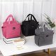 thumbnail image 2 of Bolsa térmica de gran capacidad para mujer, bolsa de almuerzo impermeable, Oxford, portátil, con cremallera, para pícnic, novedad xuanjing unisex, 2 of 2