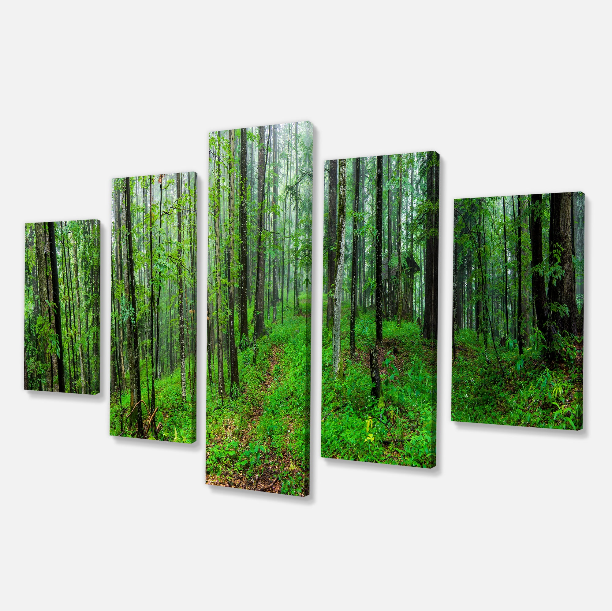 Designart 'Green Wild Forest with Dense Trees ' Forest Canvas Art Print