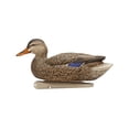 thumbnail image 6 of AVIAN-X Topflight Fusion Mallards Durable Ultra Realistic Floating Hunting Duck Decoys, Pack of 6, AVX8076, 6 of 16