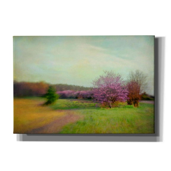 Epic Graffiti 'Nature Is Divine' by Dawn D Hanna, Giclee Canvas Wall Art, 26"x18"