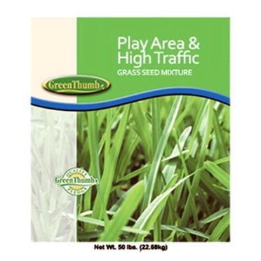 Pensacola Bahia Bulk Grass Seed (Coated) - 50 Lbs, Best for Full Sun ...