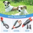thumbnail image 6 of Reflective Dog Leash 5FT Heavy Duty - Comfortable Padded Handle - Reflective Dog Leash for Medium Large Dogs with Collapsible Pet Bowl, 6 of 6