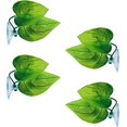 thumbnail image 1 of Paquete de 4 almohadillas de hojas de pez Betta que mejoran la salud de Betta simulando el hábitat natural, 1 of 5