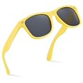 thumbnail image 2 of Retro Rewind classic Polarized Sunglasses,Yellow Smoke Polarized, 2 of 4