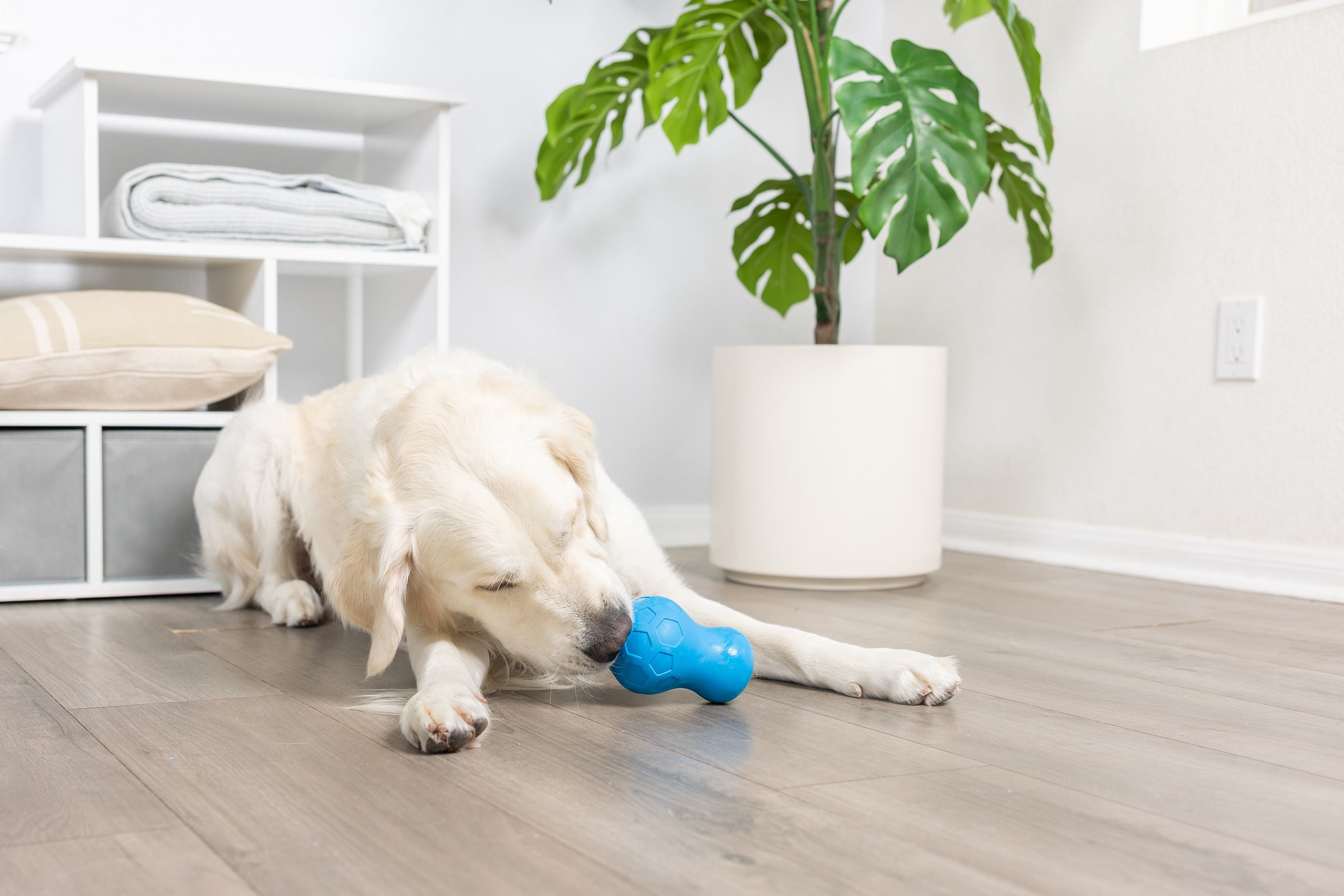 Chuckit! Tumble Teez Dog Treat Puzzle Toy, Large, Blue – Treat & Chew Puzzle Pod for Dogs 60–100 lb, Pack of 1