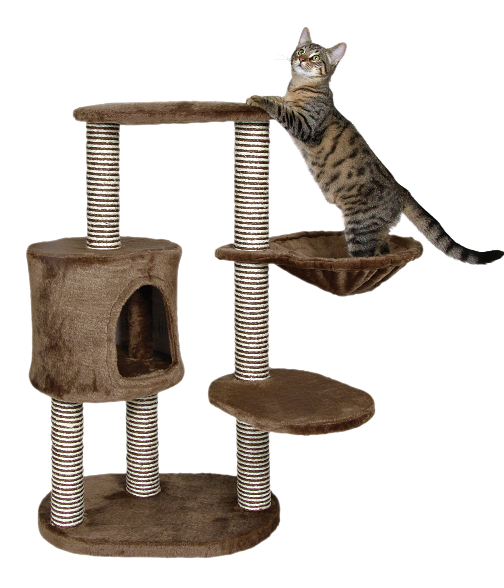 Trixie Avoca Wooden Scratching Post Brown Cat Furniture 