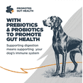 thumbnail image 6 of Blackwood Dry Dog Food for Sensitive Skin & Stomach, Lamb Meal with Ancient Grains, 24 lb., 6 of 8