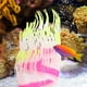 thumbnail image 2 of Acuario Pecera Artificial Silicona Coral Mar Anémona Agua Planta Paisaje Adorno Decoración Accesorio 50cm Amarillo, 2 of 8