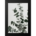 thumbnail image 2 of 1x Studio III 11x14 Black Modern Framed Museum Art Print Titled - Eucalyptus Natural 07, 2 of 5