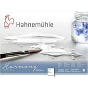 Hahnemuhle Harmony Watercolor Block Rough 12x16 Inches 12 sheets