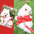 thumbnail image 4 of Arnés para perros, hermosa correa de encaje para gatos, correa para el pecho con nudo de lazo, collar para perros, suministros para mascotas, accesorios, correa para perros con lazo rojo, 4 of 5