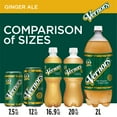 thumbnail image 4 of Vernors Caffeine Free Ginger Ale Soda Pop, 12 fl oz, 12 Pack Cans, 4 of 12