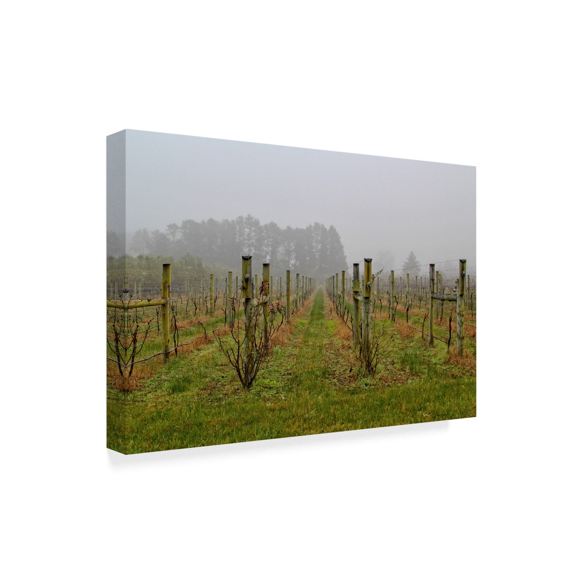 Trademark Fine Art 'Winter Winyard Iii' Canvas Art by Incredi