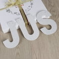 Axio 3 Meters JUST MARRIED Letter And Ring Design Glitter Paper Banners