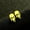 gold, variant on Melted Skull Stud Earrings Halloween Studs Skull Jewelry Day of the Dead Earrings Gothic Studs Punk Earrings