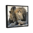 thumbnail image 4 of Stupell Industries Wildlife Gossip Lions Animals & Insects Photography Black Floater Framed Canvas Art Print Wall Art, 31 x 25, 4 of 10