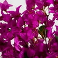 thumbnail image 3 of Nearly Natural 30in. Artificial Bougainvillea Arrangement in Glass Vase, 3 of 6