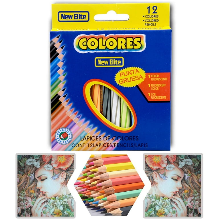 YANSION Drawing Colored Pencils & Art Color Pencil Set, for Adults and Kids  Beginners & Artist Pencils in Coloring (12-Color)