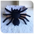 thumbnail image 2 of Peluche TAMMYFLYFLY Black Spider 23 cm, coleccionable, decorativo, 2 of 3