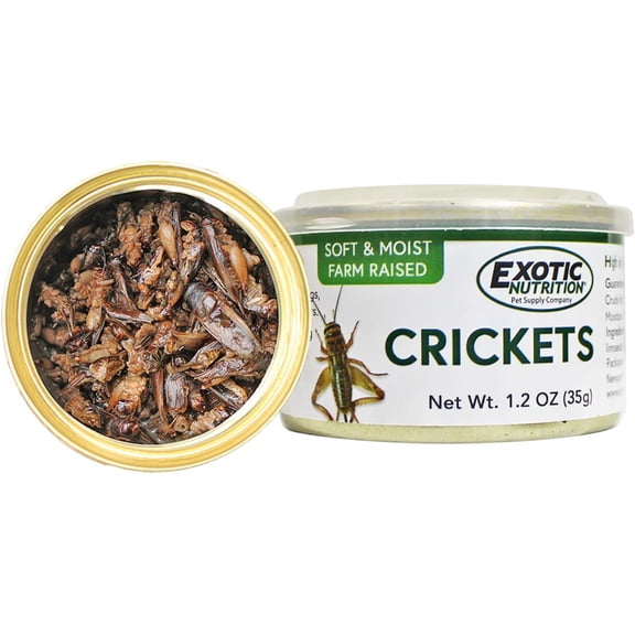 Canned Crickets 35 g.