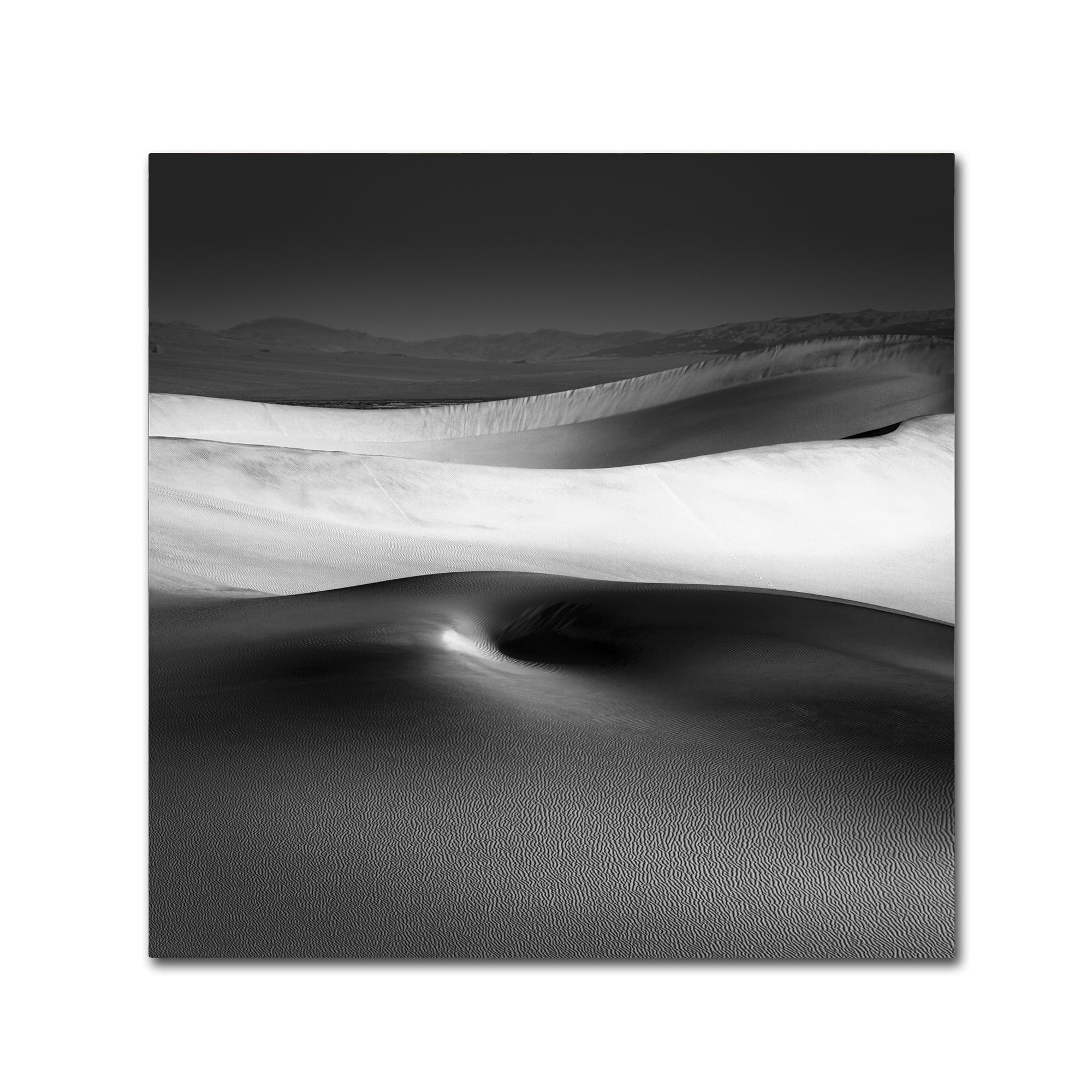 Trademark Fine Art Dave MacVicar 'Navel' 14 x 14 (ALI0872-C1414GG)