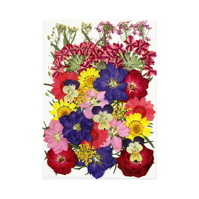 Dried Flowers Set Scrapbooking Decorating Real Flower Decal Handicraft Craft Necklace Jewelry Making Filling Pressed Specimen Label for Makeup Phone Use Type 16