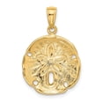 thumbnail image 4 of Diamond2Deal 14K Yellow Gold Sand Dollar Pendant for Women (L- 1.03 inch, W- 0.71 inch), 4 of 6