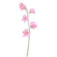 thumbnail image 4 of FENGGUIQU Flor Decorativa Simulada De Flor De Guisante Rosa Para Adornos En Hogar Y Oficina, 4 of 6