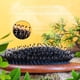 thumbnail image 4 of Peine de aire para limpieza del cuero cabelludo con masaje antiestático de melena de cerdo, peine para cabello rizado, peine de aire con forma esponjosa, 4 of 4