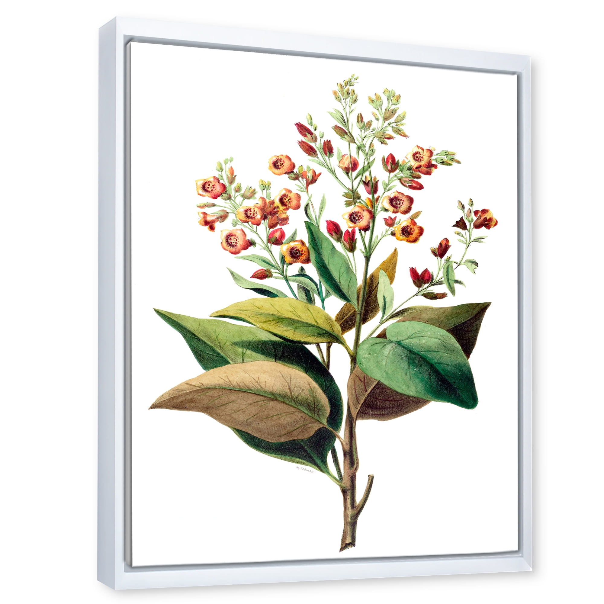 Designart 'American Vintage Flowers II' Traditional Framed Canvas Wall Art Print