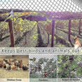 thumbnail image 5 of Heavy Anti Bird Netting Net Garden Fence And Crops Protective Fencing Mesh Anti Bird Deer Cat Dog Chicken, 5 of 5