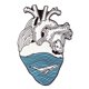thumbnail image 1 of Broche De Metal Con Corazón De Dibujos Animados , Diseño De Cráneo , Género , Insignia , Joyería , Regalo Para Estudiantes De Medicina, 1 of 4