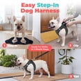 thumbnail image 3 of Voyager Step-In Air Mesh Dog Harness by Best Pet Supplies, 3 of 8
