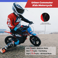 RFN Kids Electric Dirt Bike 36V 400W, Removable Battery, Max Speed 15 ...