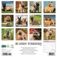 thumbnail image 2 of Cairn Terriers 2025 Wall Calendar, 2 of 5