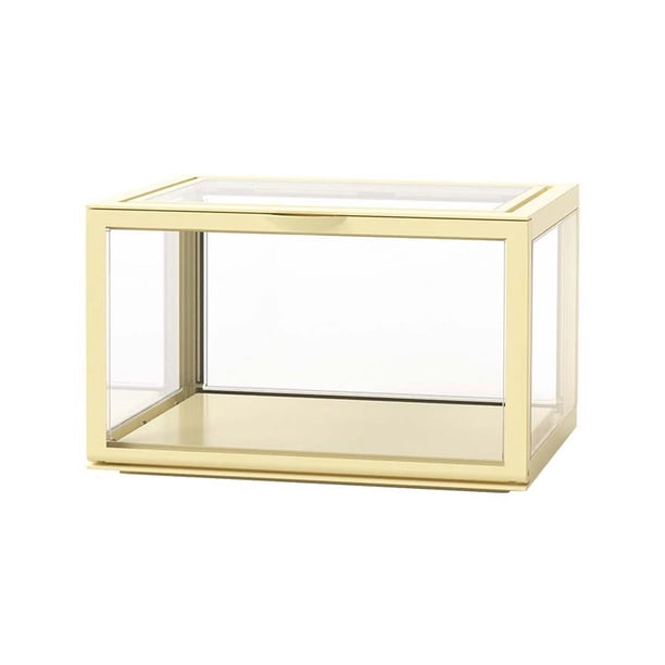 Vitrina transparente acrílica, modelo de coche, estante para recuerdos, estatua, cosméticos, amarillo Amarillo con pegatinas Hugo Estuche de muestra