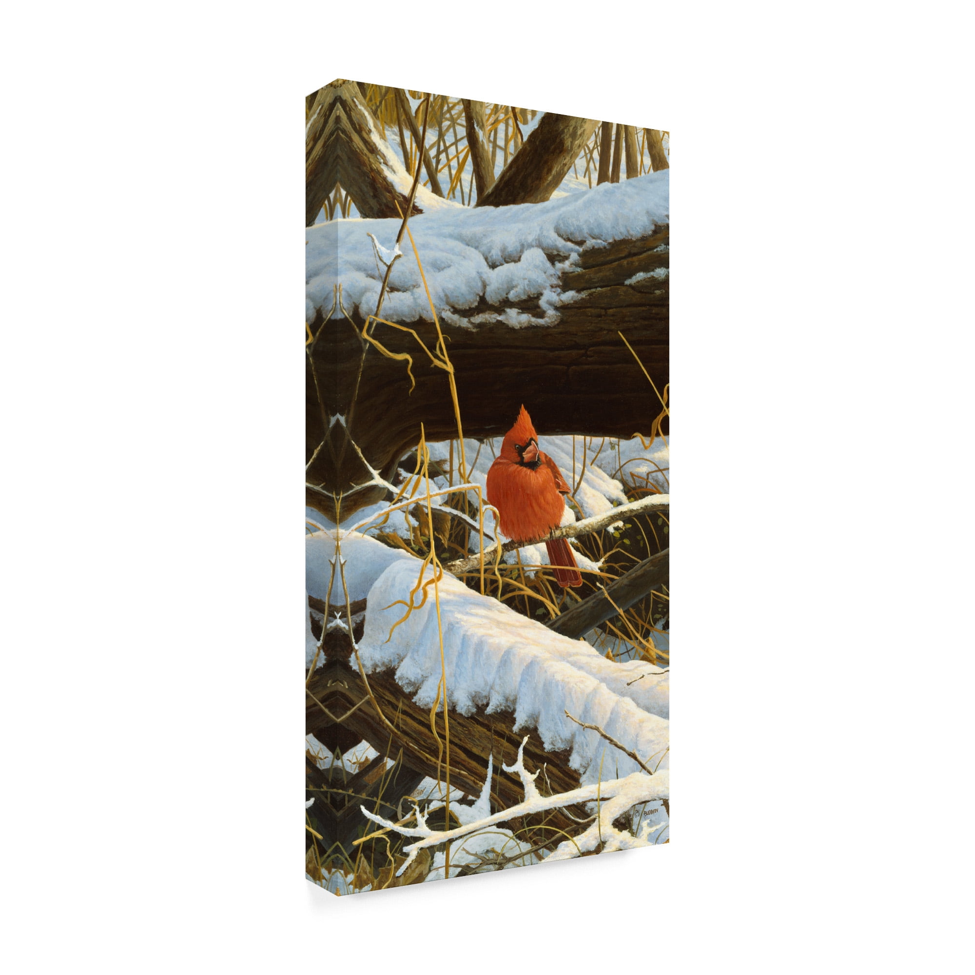 Trademark Fine Art 'Winter Playground Cardinal' Canvas Art by Michael Budden