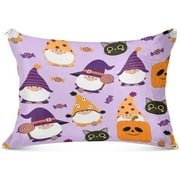 Bestwell Cute Gnomes in Halloween Costume Zipped Velvet Pillowcases 20x26 in,Soft and Cozy Decorative Plush Pillow Case with Hidden Zipper for Bedroom, Sofa, Couch662