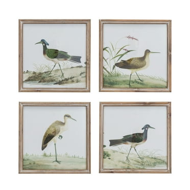Creative Co-Op Reclaimed Wood Framed Bird Print Wall Art, Multicolor, Set of 4