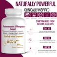 thumbnail image 5 of Exir Perimenopause & Menopause Support Supplement – Saffron Extract, Raspberry & Magnesium – Hormonal Balance, Mood, Hot Flashes & Energy Relief – 60 Capsules, 5 of 7